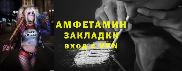 стаф Алзамай