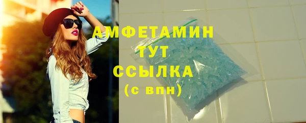 стаф Алзамай