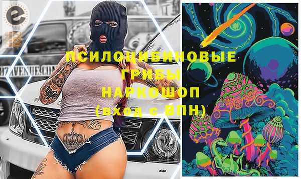 стаф Алзамай