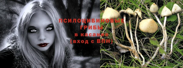 spice Абдулино