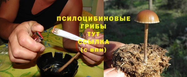 каннабис Алексеевка