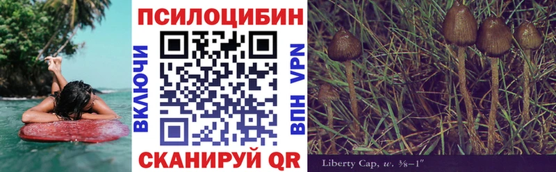 магазин    Норильск  Псилоцибиновые грибы Psilocybe 